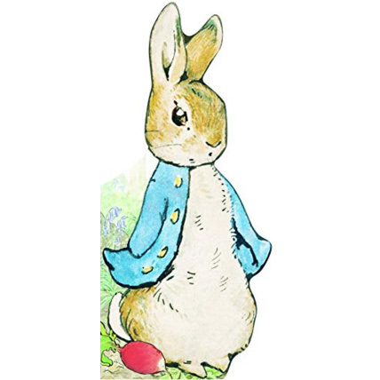 Avis Livre Bonjour, Pierre Lapin GALLIMARD JEUNESSE 1