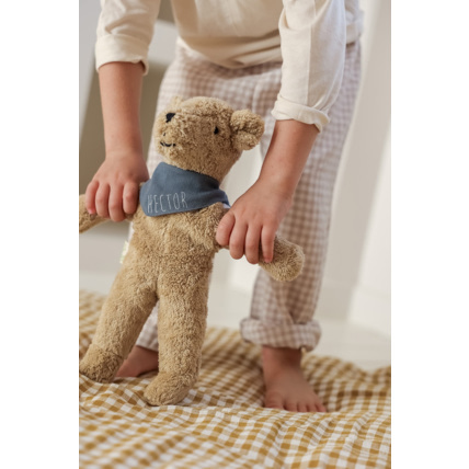 Avis Orso l'ourson Petit Picotin 5