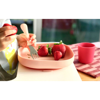 Avis Assiette silicone ventouse BÉABA 2