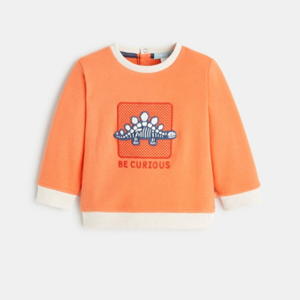 Avis Sweat maille fantaisie dinosaure OBAÏBI 1