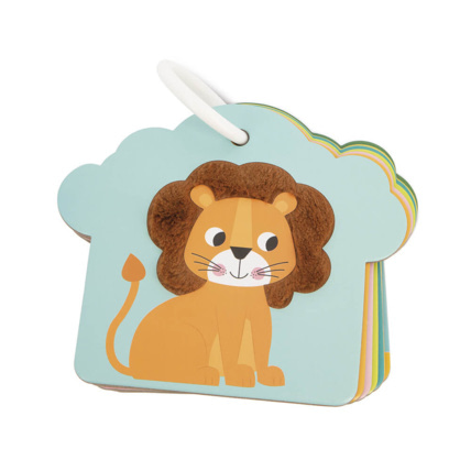 Avis Cartes tactiles Savane JANOD 1