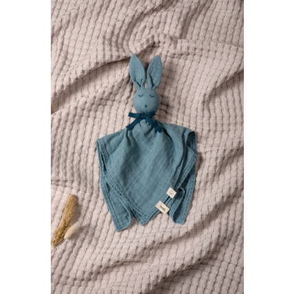 Avis Doudou lapin KADOLIS 2
