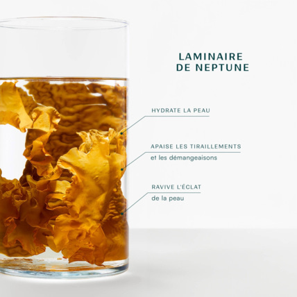Avis Eau micellaire Laboratoires de Biarritz 5