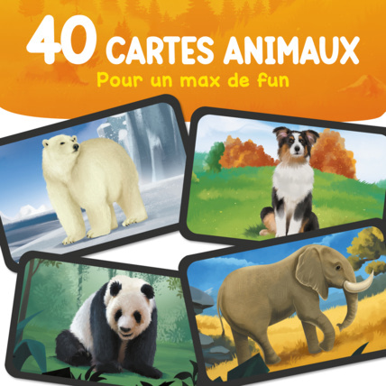 Avis Jeu de cartes Explonimo Junior ZENAGAME 3