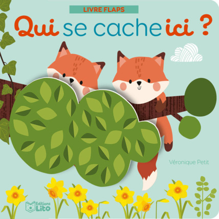 Avis Livre Qui se cache ici ? Éditions Lito 1
