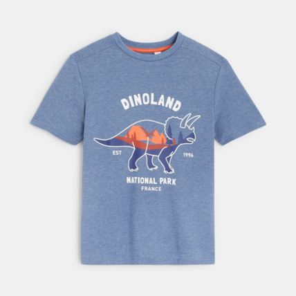 Avis T-shirt à motif dinosaure bleu garçon OKAIDI 2
