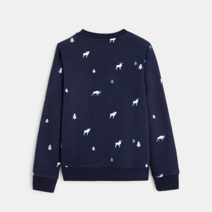Avis Sweat-shirt à motifs imprimés bleu garçon OKAIDI 3
