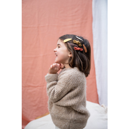 Avis Ginette la barrette Petit Picotin 3