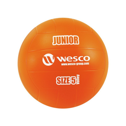 Avis Ballon de volley-ball Junior Wesco 2