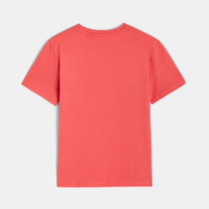 Avis T-shirt à motif rose garçon OKAIDI 3