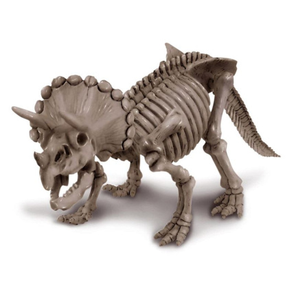 Avis Coffret découverte de la science - Déterre ton triceratops 4M 1