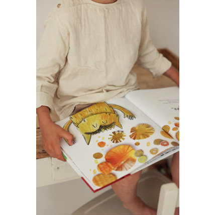 Avis Livre La couleur des émotions Petit Picotin 1