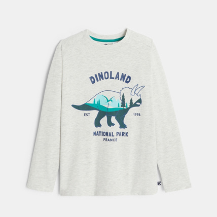 Avis T-shirt manches longues motif dinosaure gris garçon OKAIDI 1
