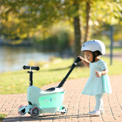 Avis Porteur Mini 2Go MICRO 3
