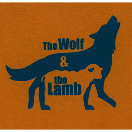 Avis T-shirt manches longues thème fables orange garçon OKAIDI 2