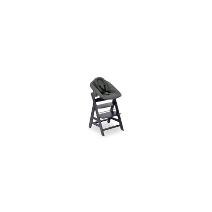 Avis Chaise Haute Alpha avec Newborn Set Plus Hauck 1