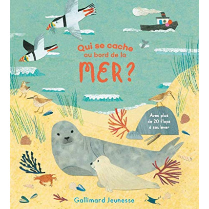Avis Livre Qui Se Cache Au Bord De La Mer ? GALLIMARD JEUNESSE 1