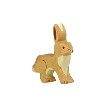 Avis Le lapin Petit Picotin 1