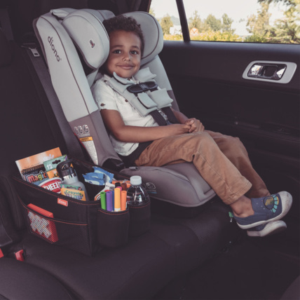 Avis Organisateur Travel Pal DIONO 2