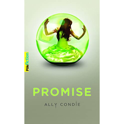 Avis Livre Promise GALLIMARD JEUNESSE 1