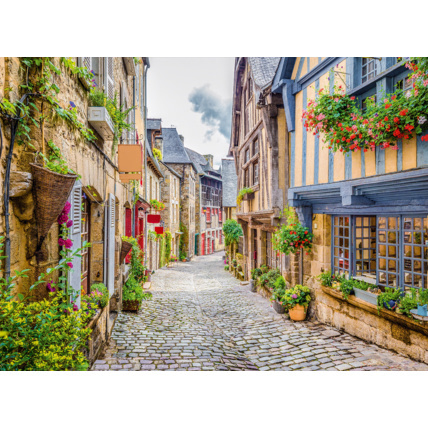 Avis Puzzle Old City BLUEBIRD PUZZLE 1