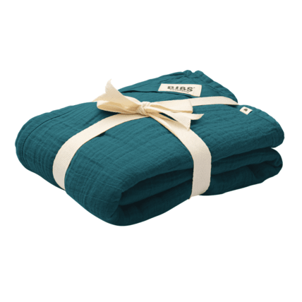 Avis PACK X2 LANGES 70X70CM BIBS 4