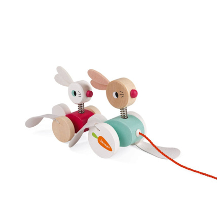 Avis Lapins à promener Zigolos JANOD 1