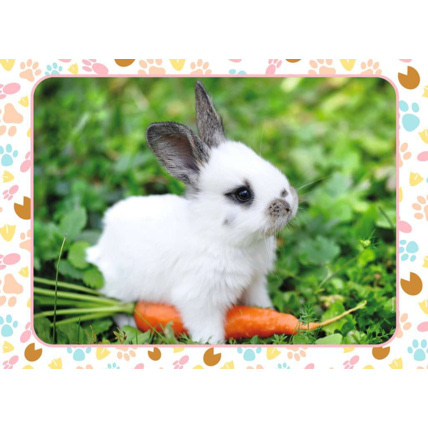 Avis Puzzle Petit lapin et sa carotte - de 5 ans RAVENSBURGER 2