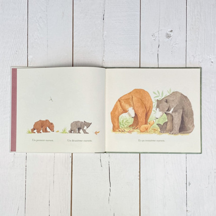 Avis Livre Vous êtes tous mes préférés Petit Picotin 4