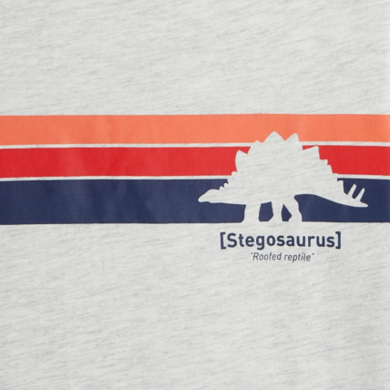 Avis T-shirt manches courtes motif dinosaure blanc garçon OKAIDI 2