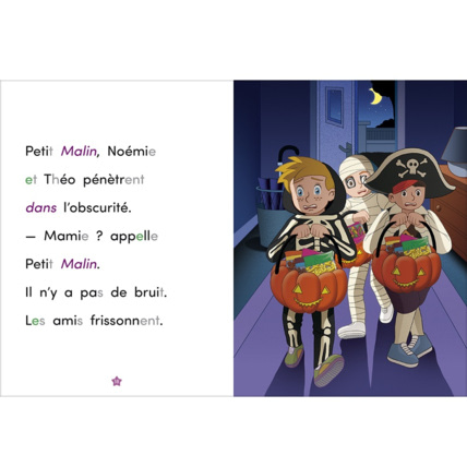 Avis Livre Panique chez Mamie - Apprendre à lire avec Les Alphas ÉDITIONS RÉCRÉALIRE 3