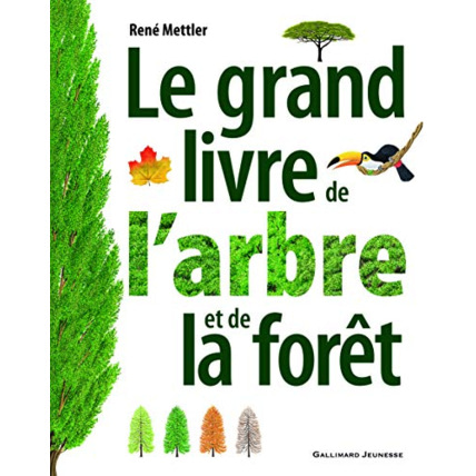 Avis Livre Le Grand Livre De L'Arbre Et De La Foret GALLIMARD JEUNESSE 1