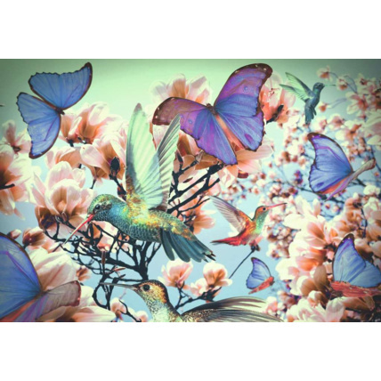 Avis Puzzle Colibri - de 8 ans RAVENSBURGER 2