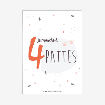 Avis Cartes étapes - Mes premières fois Trois Kilos Sept 2