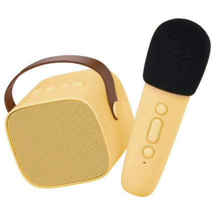 Avis Karaoke enceinte Lalarma 2