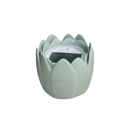 Avis Thermomètre de bain Nenuphar petit truc 3