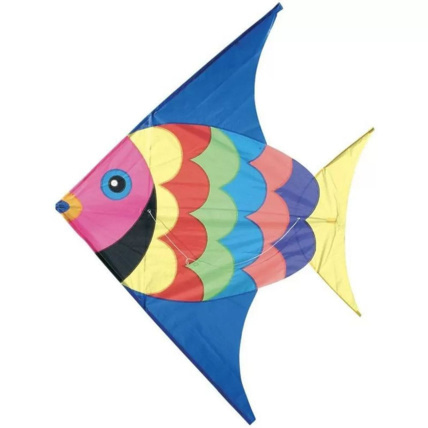 Avis Cerf-volant Poisson VILAC 1