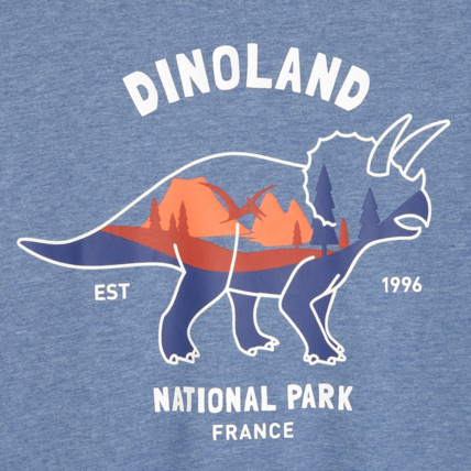 Avis T-shirt à motif dinosaure bleu garçon OKAIDI 3