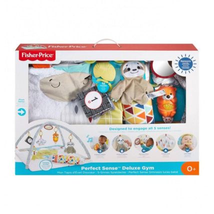 Avis Couverture de jeu 5 sens Fisher-Price 1