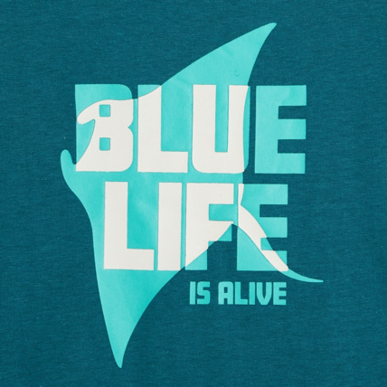 Avis T-shirt à message "Blue Life is alive" bleu garçon OKAIDI 2