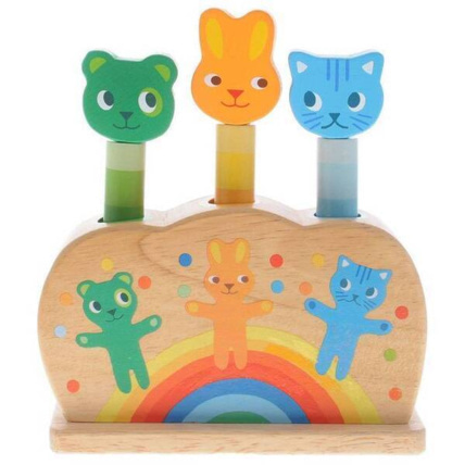 Avis Jeu pop up Popop Pidoo DJECO 1