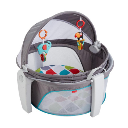 Avis Panier de voyage bébé Fisher-Price 1