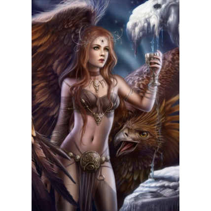 Avis Puzzle The Fountain of the Moon GRAFIKA 1