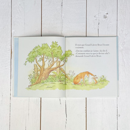 Avis Livre Devine combien je t'aime Petit Picotin 3