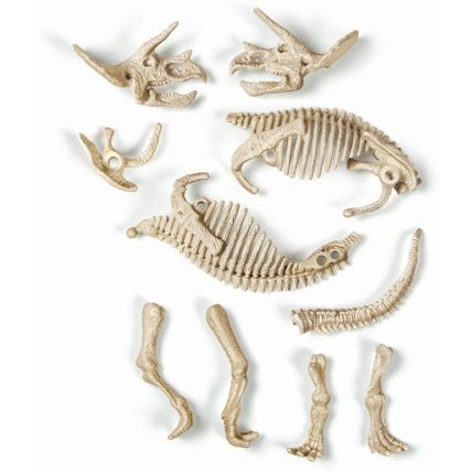 Avis Archéo Ludic - Tricératops Clementoni 5