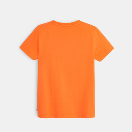 Avis T-shirt à message nature orange garçon OKAIDI 4