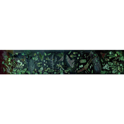 Avis Puzzle XXL vie aquatique HAPE 2