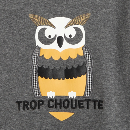 Avis Sweat-shirt "trop chouette" gris fille OKAIDI 3