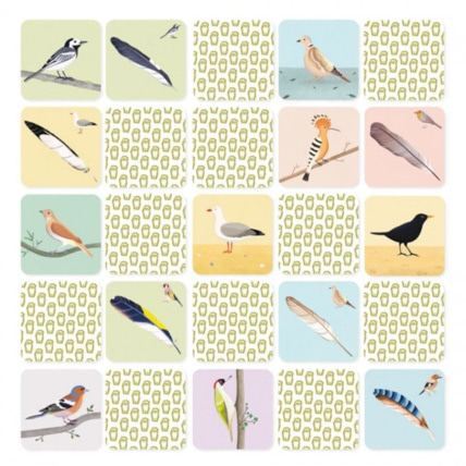 Avis Mémo Rigolo L'oiseau et sa plume Pirouette Cacahouète 6