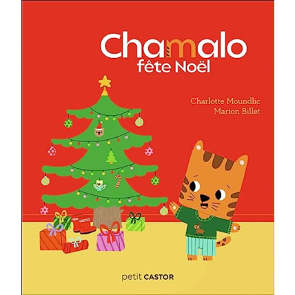 Avis Chamalo fête Noël FLAMMARION 1